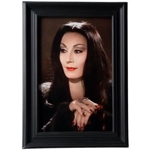 Addams Family Movie Morticia Vintage Gothic Punk Rock Goth Emo 90s 1990s Retro